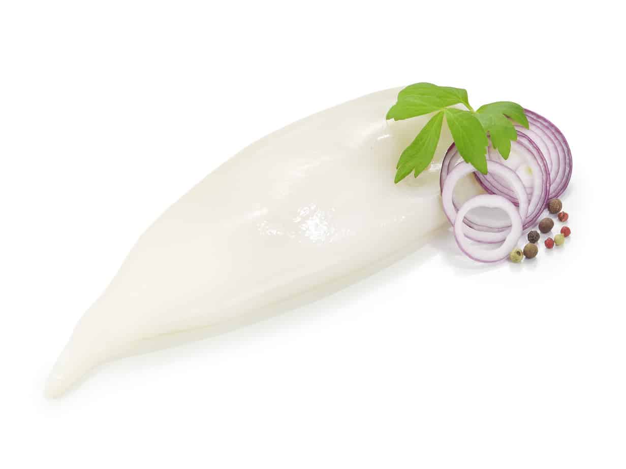 Calamarituben U5 China