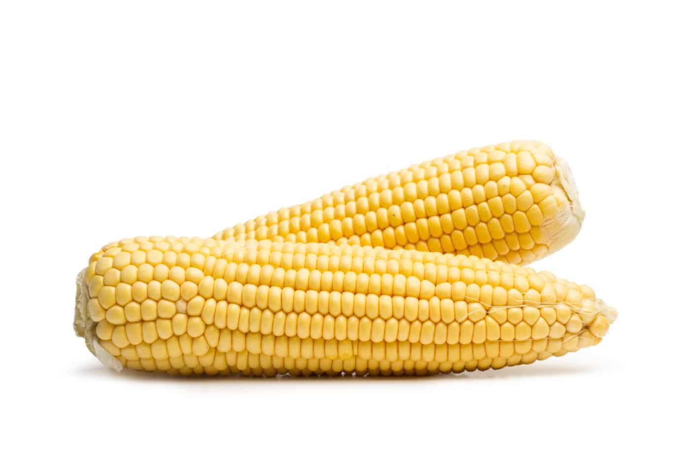 Maiskolben 250 g